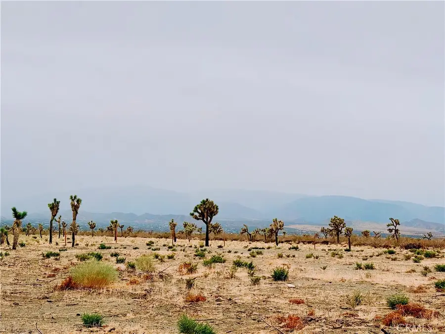 12452 Golden View, Pinon Hills, CA 92372 - Image #3