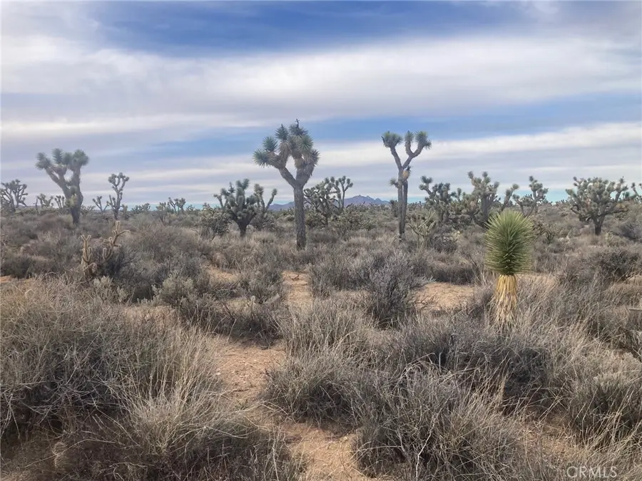 0 Cedar Canyon, Essex, CA 92332 - Image #2