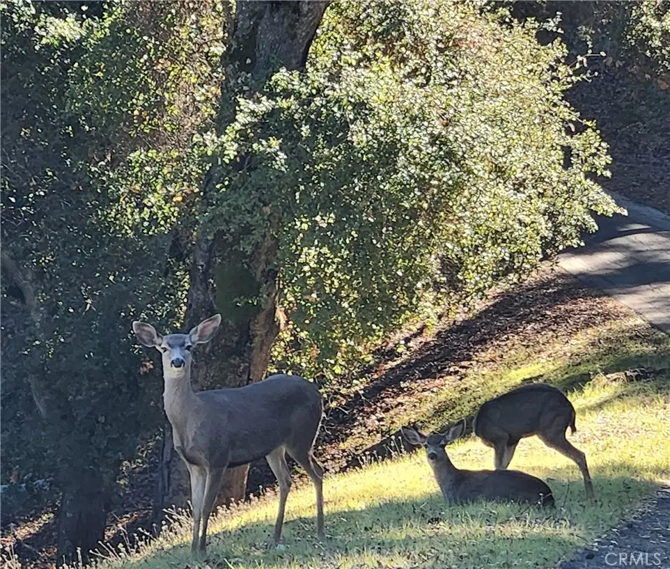 2155 San Fernando, Atascadero, CA 93422 - #1