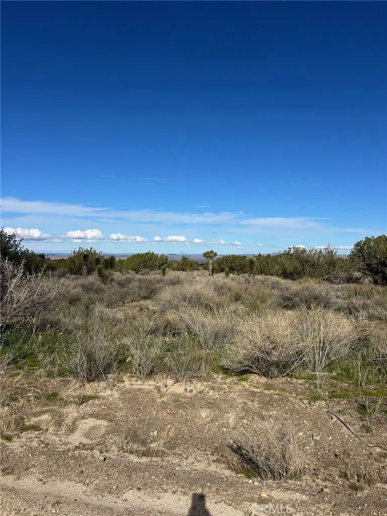 0 Fort Tejon-puzzle Canyon, Llano, CA 93544 - Image #2