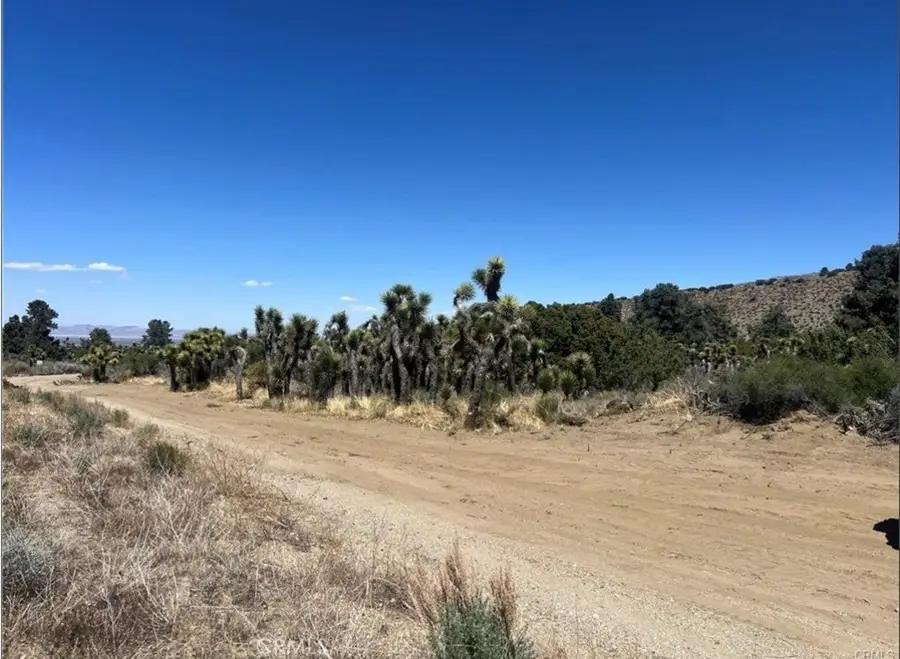 0 Evergreen Rd, Pinon Hills, CA 92372 - Image #3