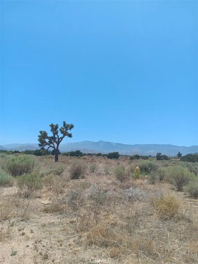0 Yucca Terrace Road, Phelan, CA 92371 - Image #1