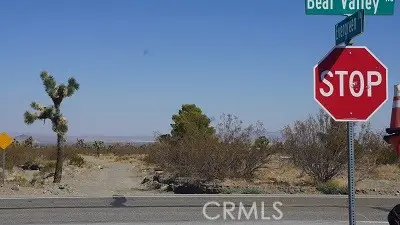 0 Bear Valley Road, Pinon Hills, CA 92372 - Image #2