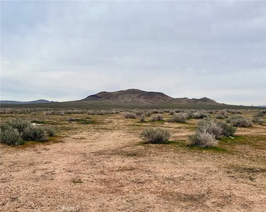 39025 Hervey Road, Hinkley, CA 92347 - #3