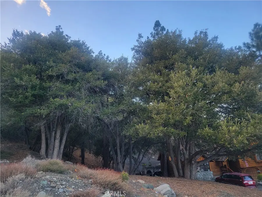 0 Desert View, Wrightwood, CA 92397 - #2