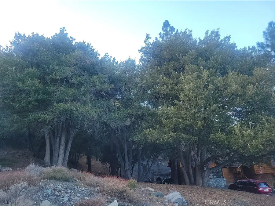 0 Desert View, Wrightwood, CA 92397 - #3
