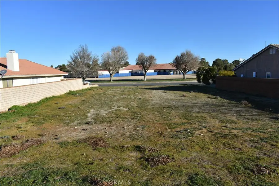 27237 Peach Tree Lane, Helendale, CA 92342 - #3