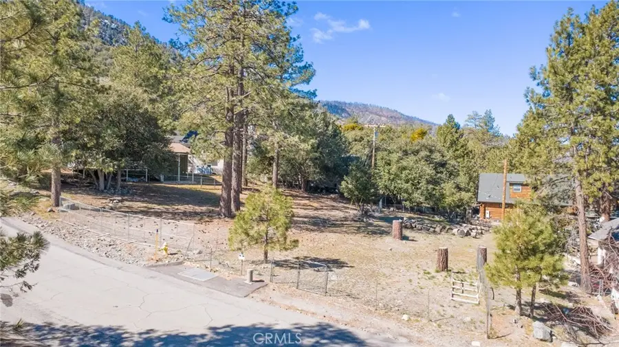 5370 Desert View, Wrightwood, CA 92397 - #2