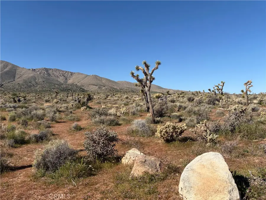 0 Willow Wells Ave, Lucerne Valley, CA 92356 - #2