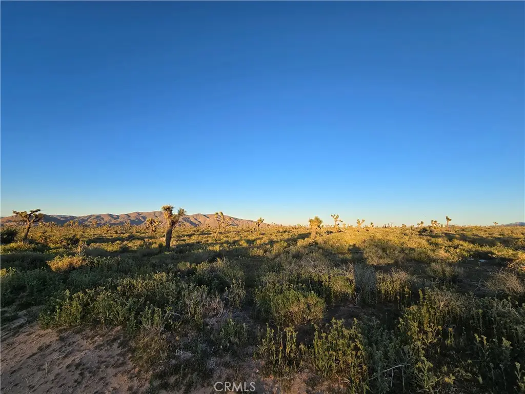 55 Japatul Road, Apple Valley, CA 92308 - #1
