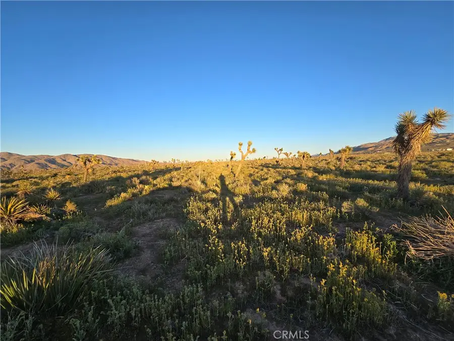 55 Japatul Road, Apple Valley, CA 92308 - #3