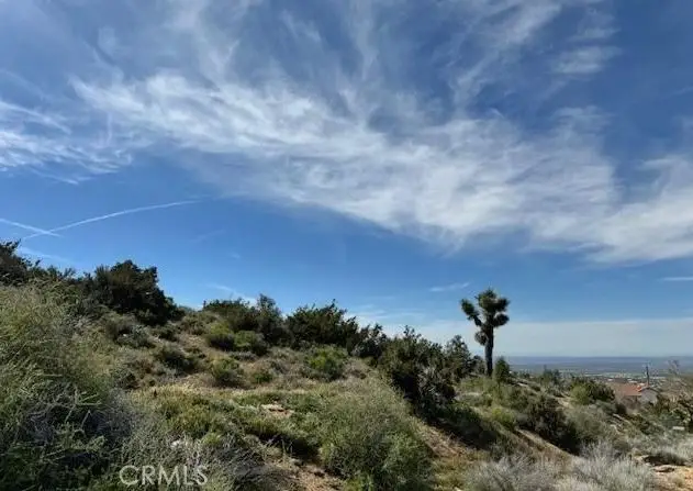 0 Snow Valley Rd., Pinon Hills, CA 92372 - #2