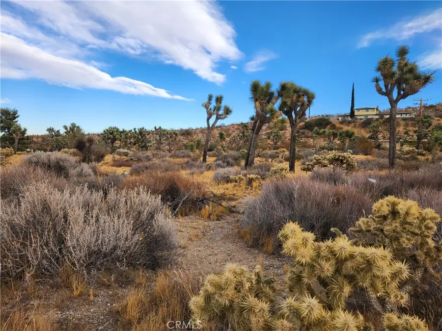 164 Joshua Lane, Yucca Valley, CA 92284 - #2