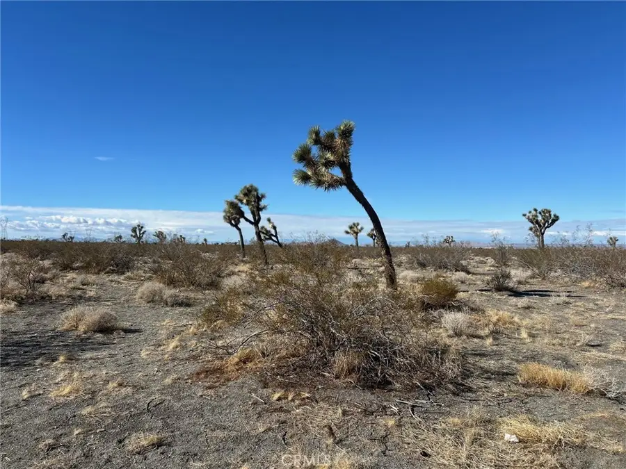 0 Woodcliff, Phelan, CA 92371 - #2