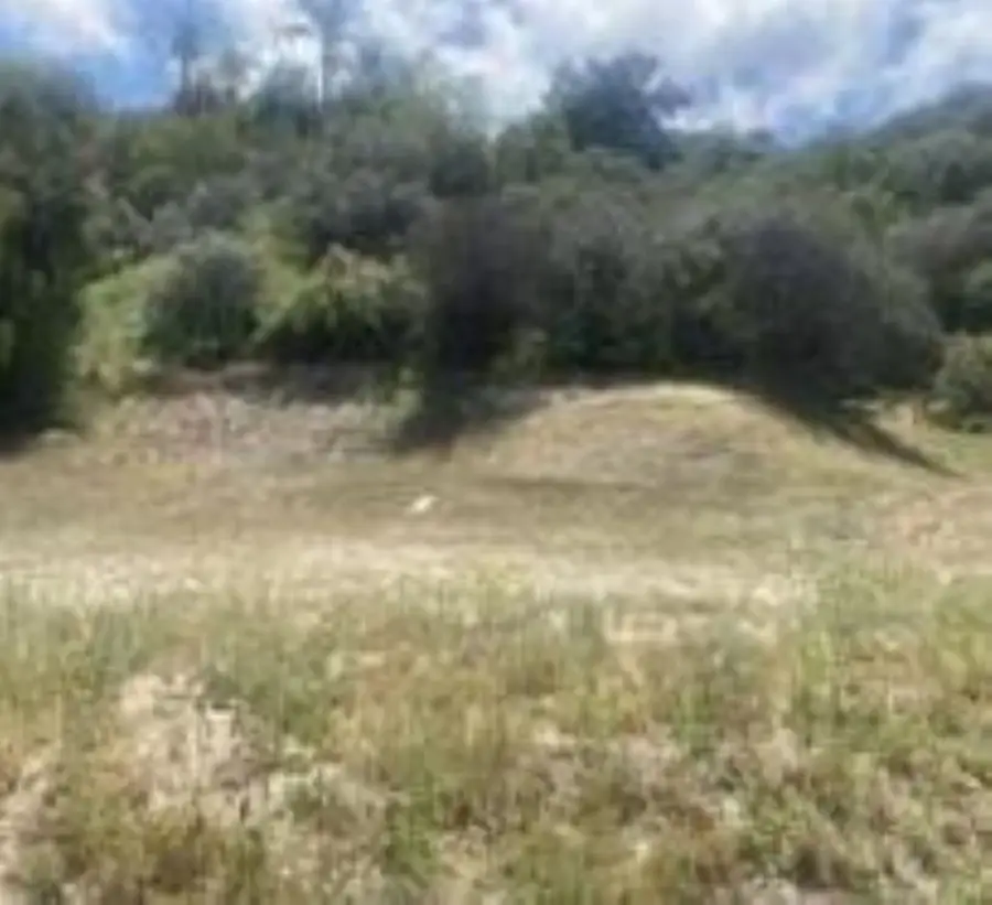 0 Mint Canyon #1, Agua Dulce, CA 91350 - #2