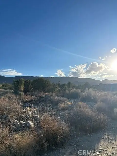 0 Yucca, Pinon Hills, CA 92372 - #2
