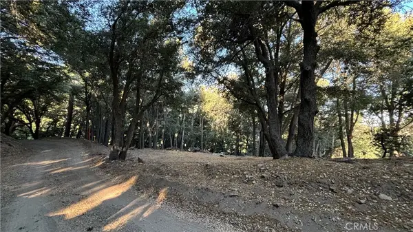 722 Mojave River Road, Cedarpines Park, CA 92322