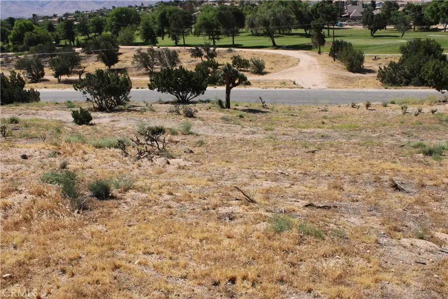 0 Buckthorn, Hesperia, CA 92345 - #3
