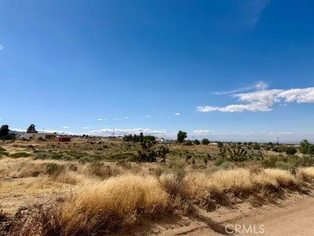 0 Ailanthus, Phelan, CA 92371 - #1
