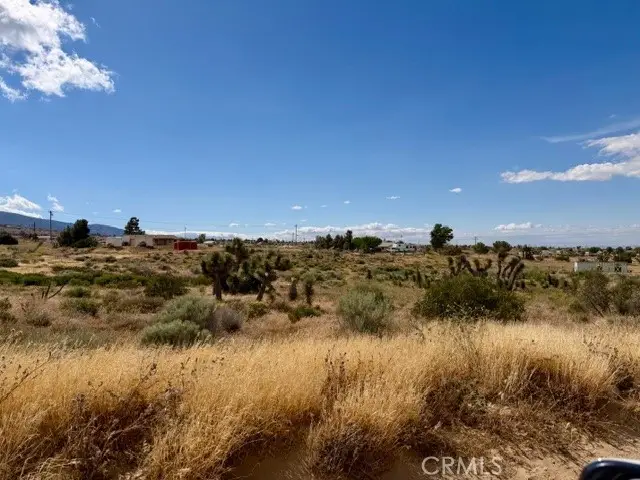 0 Ailanthus, Phelan, CA 92371 - #3