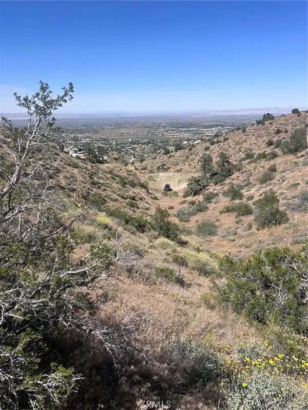 0 Jack Frost, Pinon Hills, CA 92372