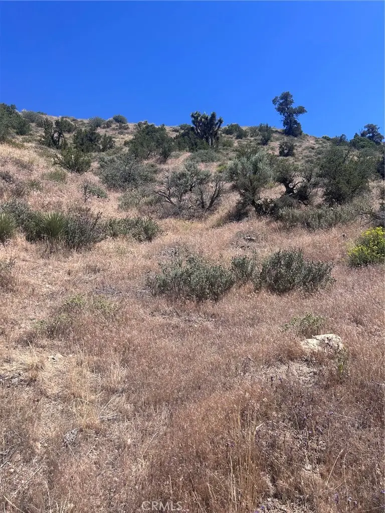 0 Jack Frost, Pinon Hills, CA 92372 - #3