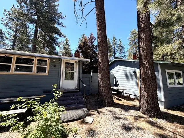 531 Mountain View, Wrightwood, CA 92397 - #3