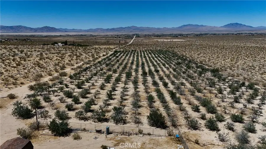 735 Midway Avenue, Lucerne Valley, CA 92356 - #3