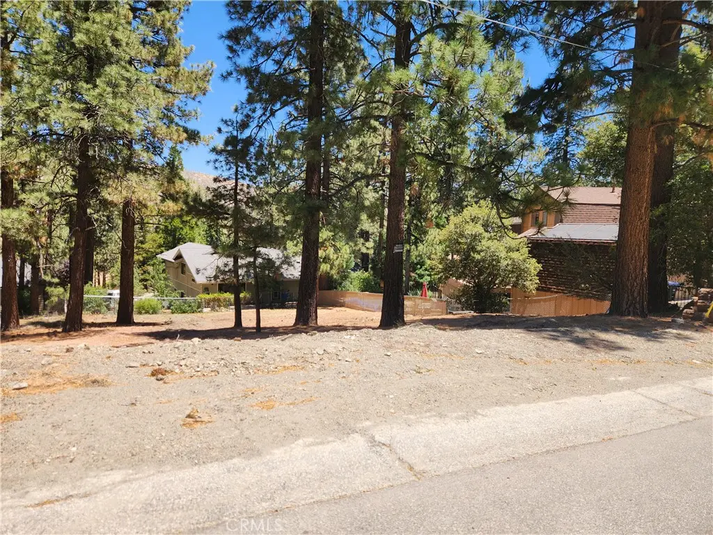 0 Wrightwood Drive, Wrightwood, CA 92397 - #1