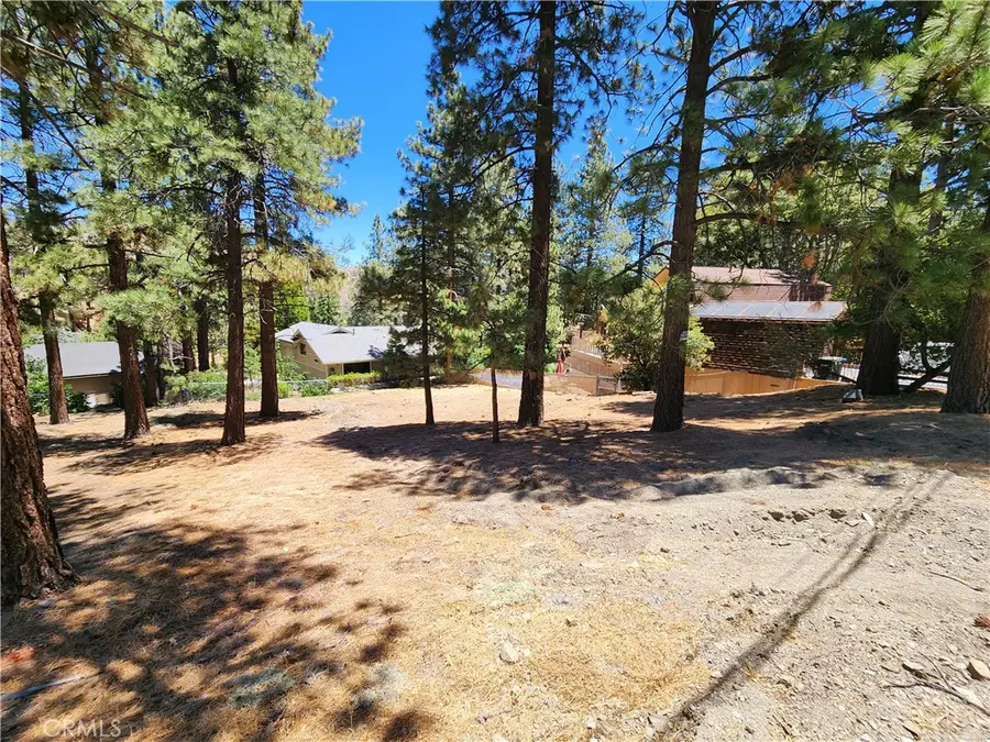 0 Wrightwood Drive, Wrightwood, CA 92397 - #3