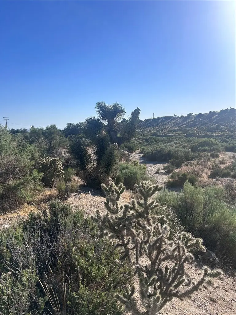 0 Yuba 3037061040000, Phelan, CA 92371 - #2