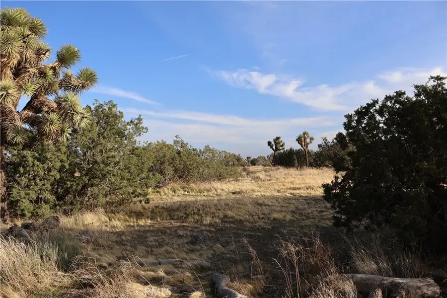 9955 Macron Street, Hesperia, CA 92344 - #2