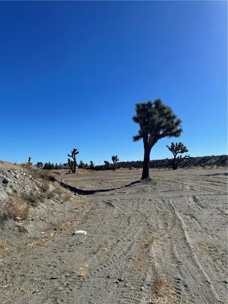 0 Rosado Road, Pinon Hills, CA 92372 - #2