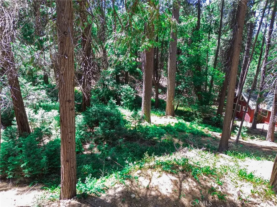 590 Electra Drive, Crestline, CA 92325 - #3