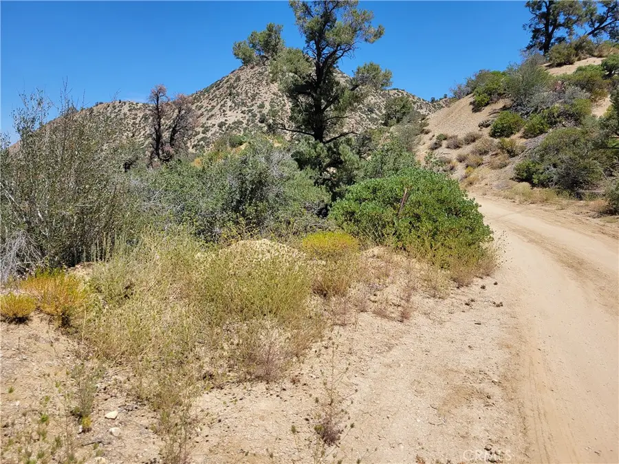0 Old Oak Springs Valley Road, Wrightwood, CA 92397 - #2