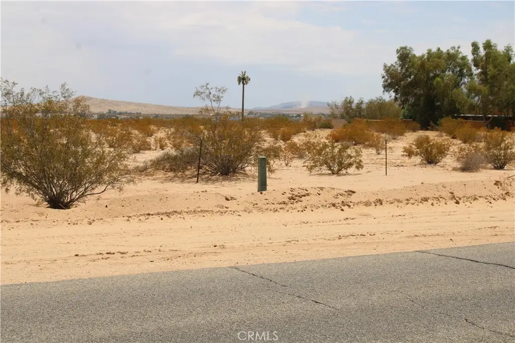 9 AC Mesquite Springs Road, Twentynine Palms, CA 92277 - #1