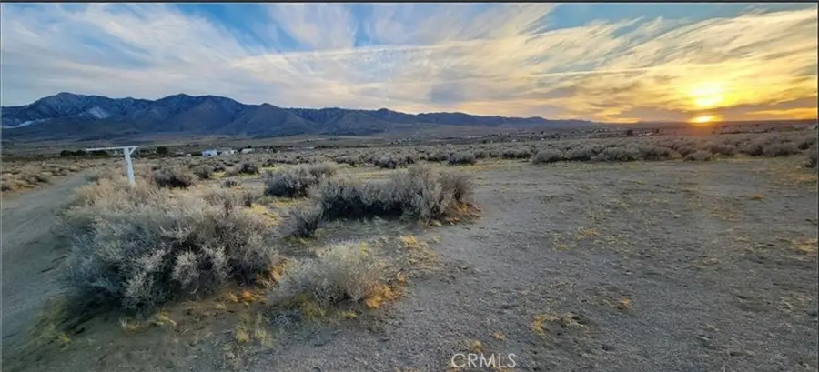 0 Alamo, Lucerne Valley, CA 92356 - #2