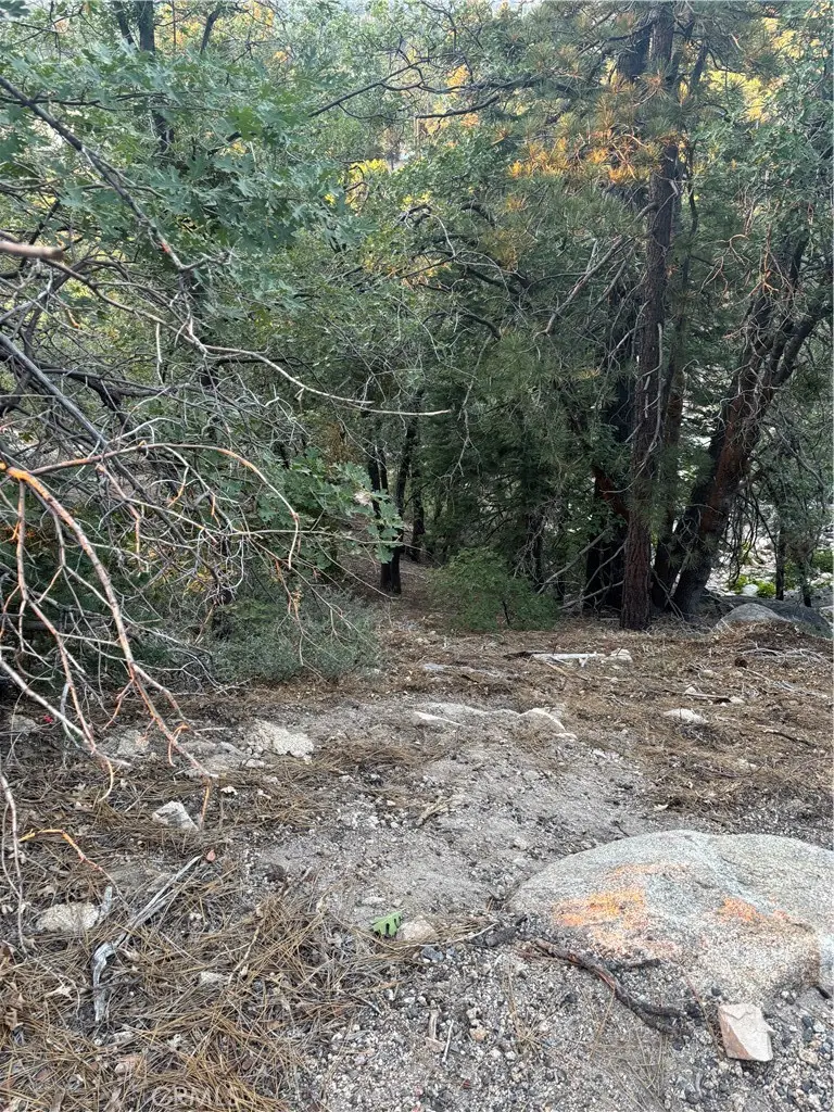 0 Ridge Dr, Running Springs, CA 92382 - #2