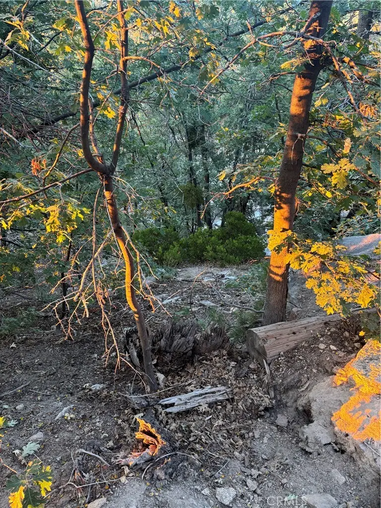 0 Ridge Dr, Running Springs, CA 92382 - #3