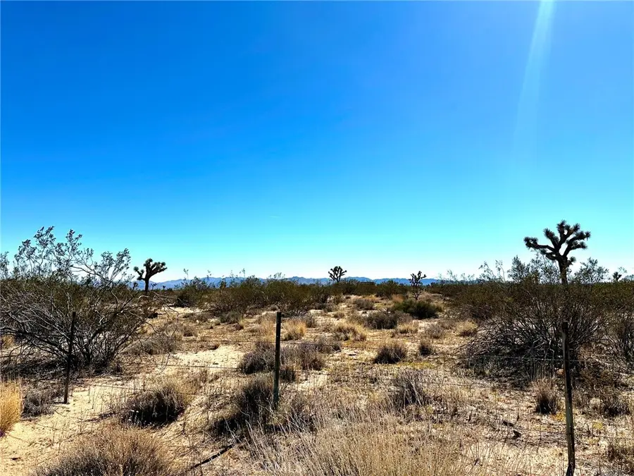 0 Goldfich, Landers, CA 92285 - #2