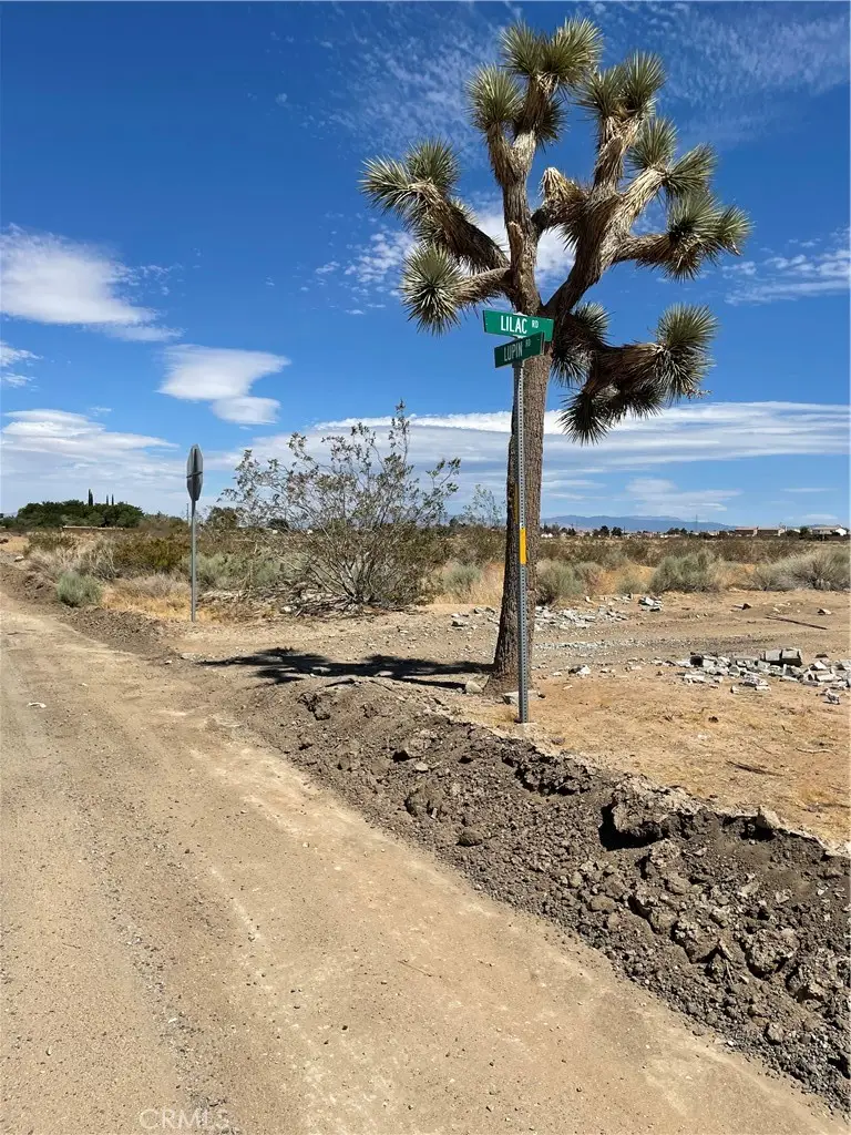 0 Lupin, Adelanto, CA 92301 - #2