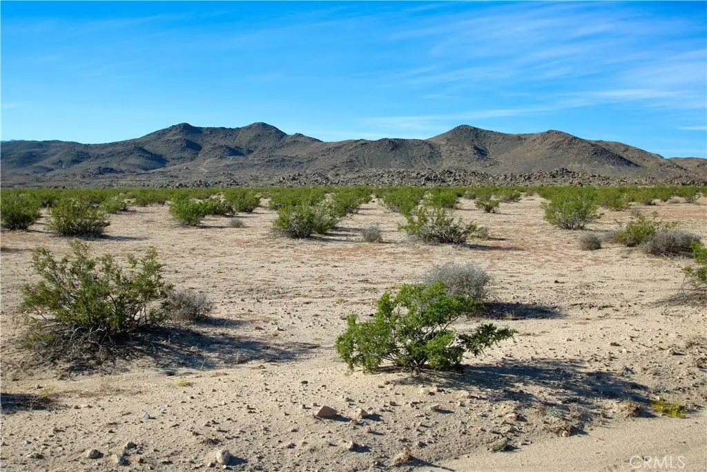 63305 Ranier Road, Joshua Tree, CA 92252 - #1