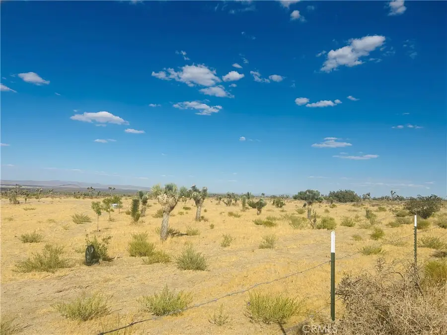 0 Cor Fort Tejon Drt 230, Llano, CA 93544 - #3