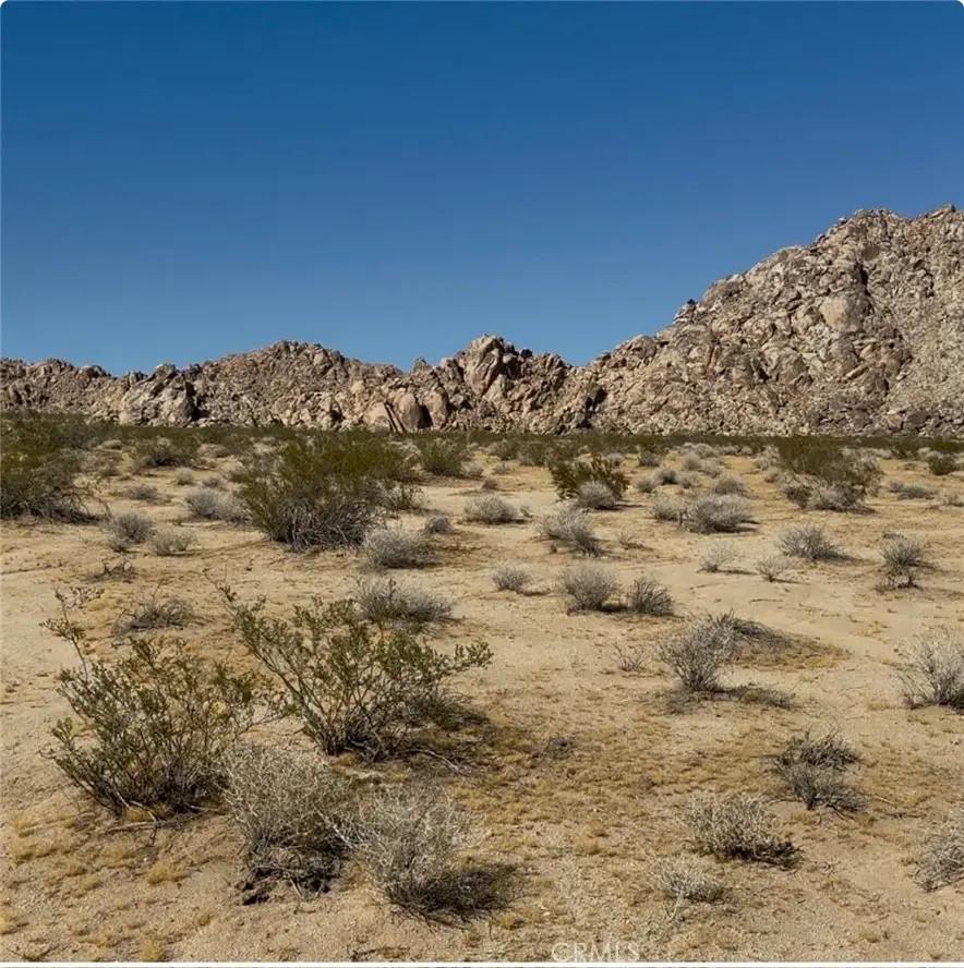 0 Rabbit Springs Road, Lucerne Valley, CA 92356 - #1