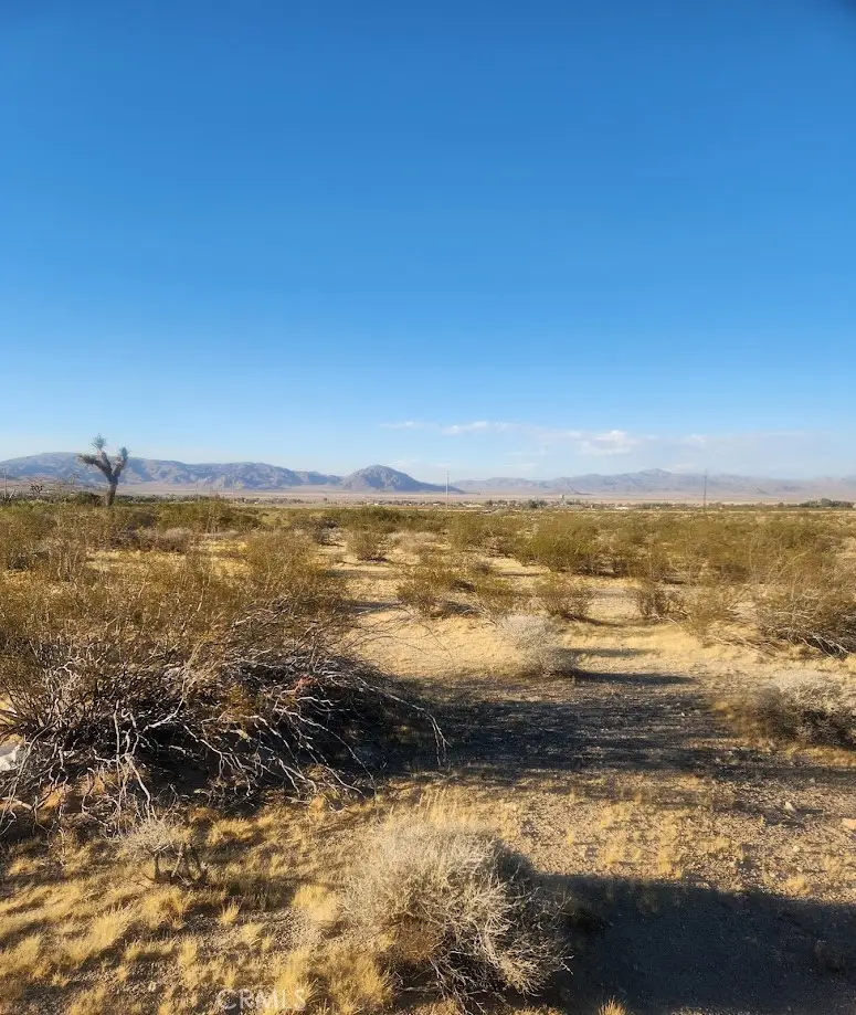 0 Crystal Creek, Lucerne Valley, CA 92356 - #2