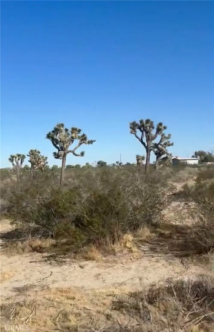 0 Avenue R6, Sun Village, CA 93543 - #2