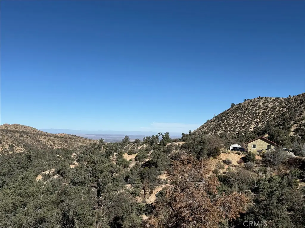28106 Desert Front, Pinon Hills, CA 92372 - #1