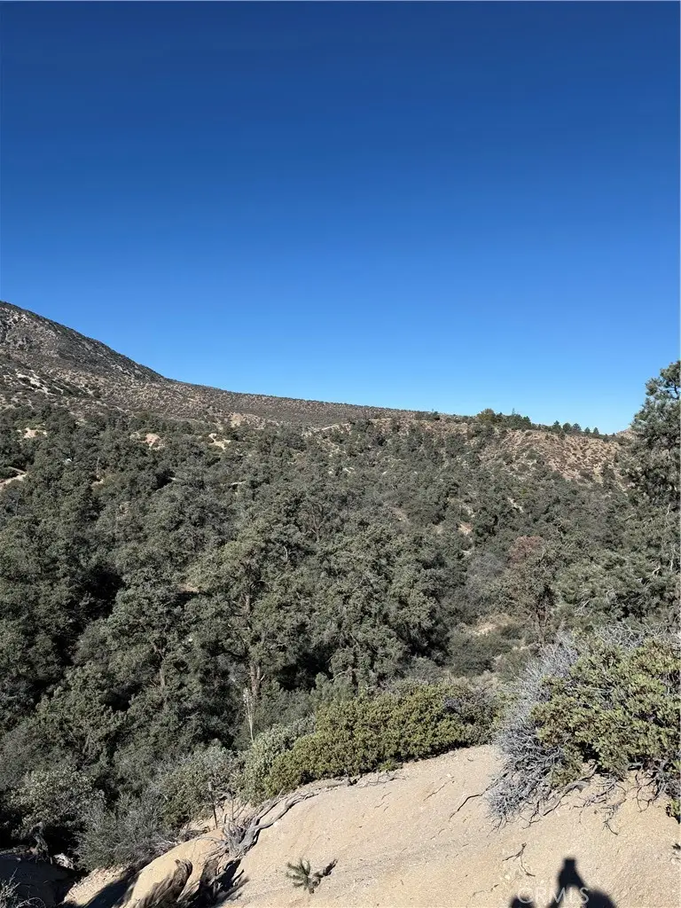 28106 Desert Front, Pinon Hills, CA 92372 - #2