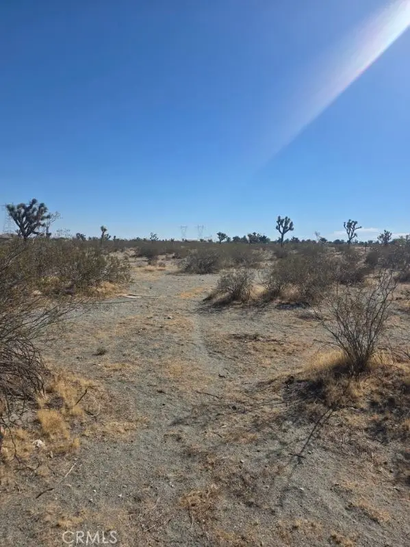 0 Evergreen Road, Pinon Hills, CA 92372 - #3