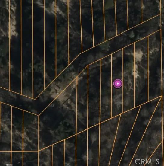 0 Lignum Vitae Drive, Cedar Glen, CA 92321